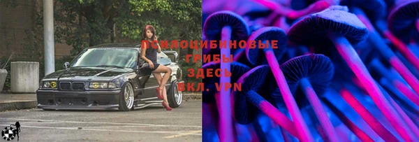 хмурый Карпинск