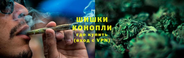 скорость Каменногорск