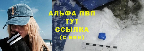 скорость Каменногорск