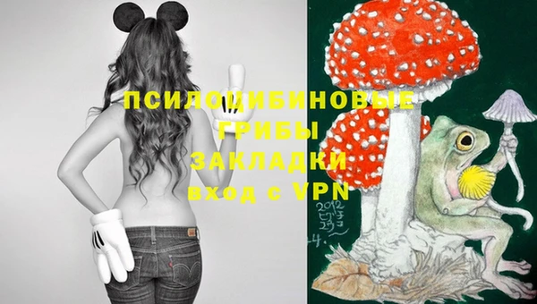 каннабис Каменск-Шахтинский