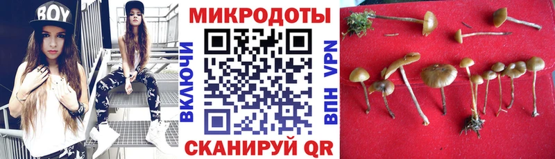 мориарти Telegram  даркнет сайт  Краснозаводск  Псилоцибиновые грибы Magic Shrooms 